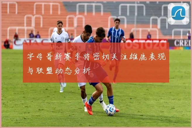 字母哥新赛季将密切关注雄鹿表现与联盟动态分析
